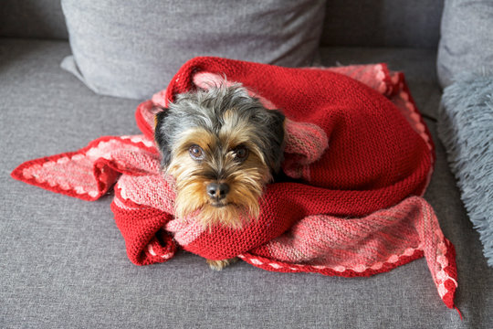 it's cold outside