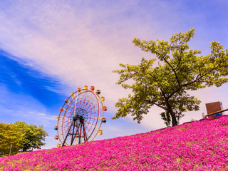 楽しいおでかけ