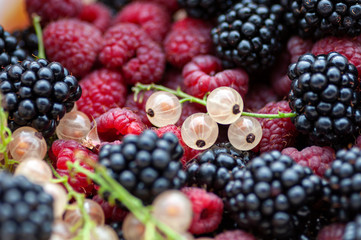 Mix of different berries. White currant, raspberry and blackberry top view
