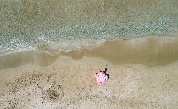 A pink flamingo by the sea. Sandy sea shore with small waves.