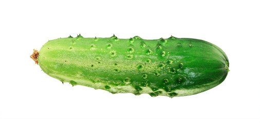 One green cucumber