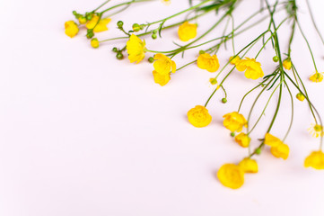 Vivid yellow buttercups wildflowers arrangement. Close-up, selective focus. Copy space for text....