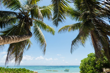 Ocean view with coconut palms and boats