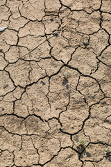 Dry soil, Italian summer, July.