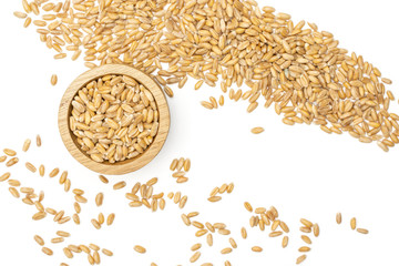 Lot of whole fresh beige dinkel wheat grain in a wooden bowl flatlay isolated on white background