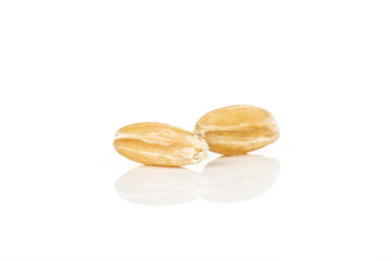 Group of two whole fresh beige dinkel wheat grain macro isolated on white background