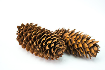 pine cones isolated on white background