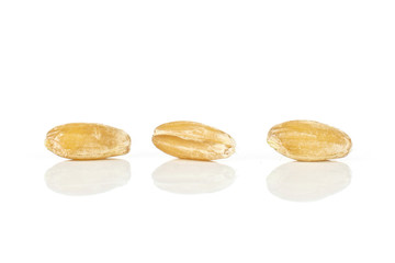 Group of three whole fresh beige dinkel wheat grain in a line isolated on white background