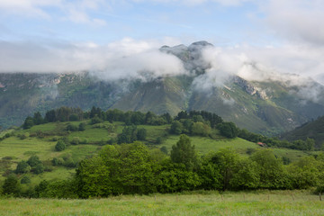 Fototapeta premium Picos de Europa