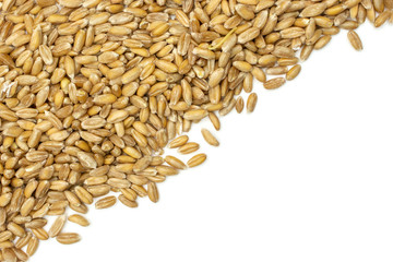 Lot of whole fresh beige dinkel wheat grain copyspace flatlay isolated on white background