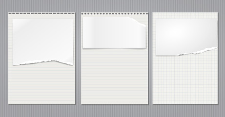 Set of torn note, notebook lined, blank and squared paper sheets, strips are on lined background. Vector illustration