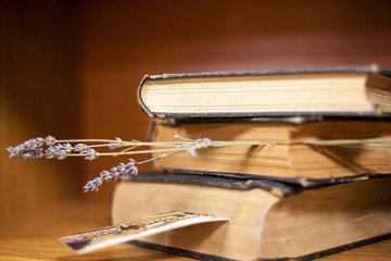 Blurred background. Library, books. Close-up.