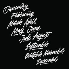 Handwritten names of months: December, January, February, March, April, May, June, July, August September October November Calligraphy. Vector.