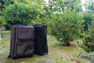 Two large travel suitcases on a green lawn
