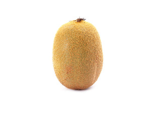 Kiwi fruit isolated on white background