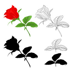 Rosebud  red natural and outline and silhouette  twig with leaves on a white background vintage vector illustration editable hand draw