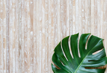 Tropical monstera leaf on a  wooden background