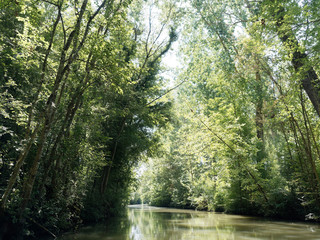 Marais poitevin. Site de France. Paysage verdoyant de la Venise verte sous les frènes et peupliers...