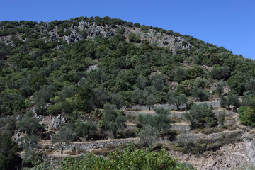 Fototapeta na wymiar Lesbos Greece