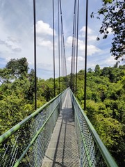 Fototapeta premium Très long pont suspendu à Singapour TreeTop walk