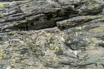 Obraz premium Stone texture - details, background and texture image