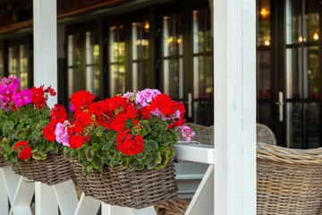 flowers on the white wooden veranda of the summer restaurant with cozy lighting and wicker furniture