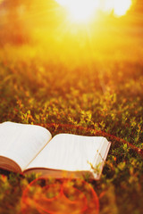 an old book on a summer meadow at sunset