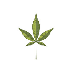 Vintage retro cbd cannabis marijuana hemp pot leaf farm cultivation logo design