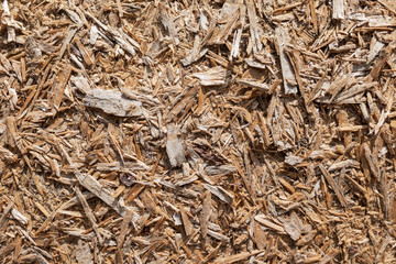  Junk wood. Wood chip texture