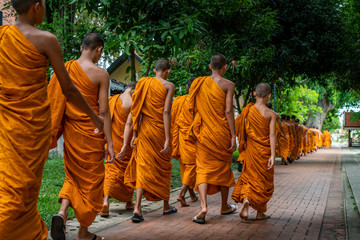 Line of novice monks of Buddhism - obrazy, fototapety, plakaty