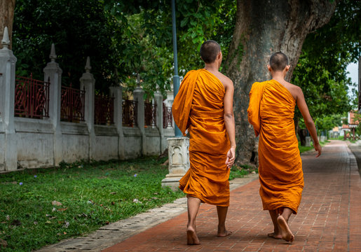 Back side image of two monks