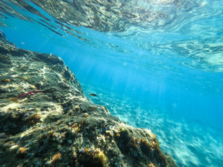 Underwater view of the rocks, sand and stones. The sandy and rocky bottom of the sea with some sun rays.