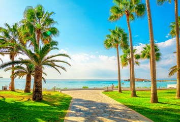  Nissi beach in Aiya Napa, Cyprus. Ayia Napa coastline.