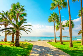 Schilderijen op glas  Nissi beach in Aiya Napa, Cyprus. Ayia Napa coastline. © Vladimir Sazonov