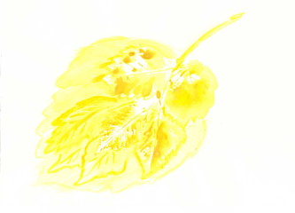 Drawing with watercolors: large yellow print of a leaf of a tree.