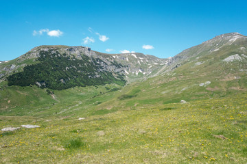 View from Bucegi mountains, Romania, Bucegi National Park