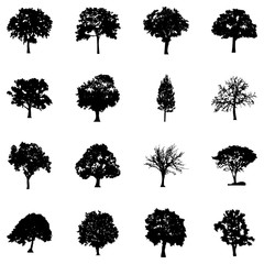 Eco Trees Solid Vectors 
