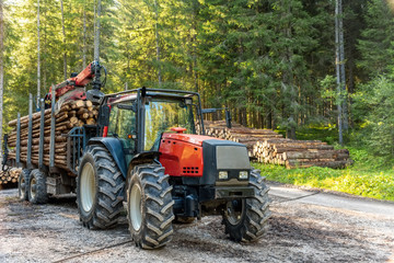 Obraz premium Forklift truck grabs wood in wood processing plant, pine forest, Europe