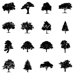Outdoor Trees Solid Vectors 