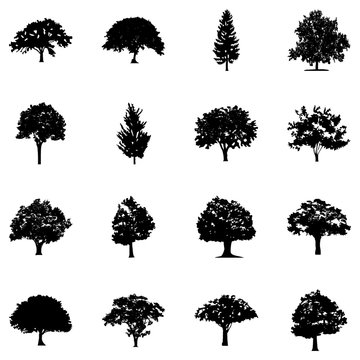 Outdoor Trees Glyph Icons 
