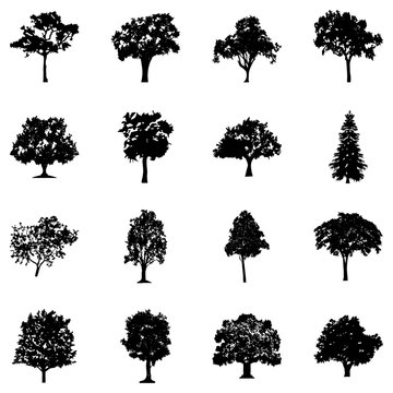 Bushy Trees Glyph Icons 