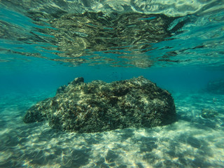 Fototapeta na wymiar Underwater view of the rocks, sand and stones. The sandy and rocky bottom of the sea with some sun rays.