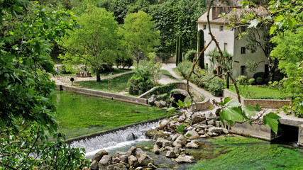 Jardin au bord d'une rivière 