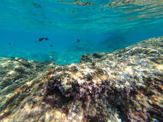 Naklejka na ściany i meble Underwater view of the rocks, sand and stones. The sandy and rocky bottom of the sea with some sun rays.