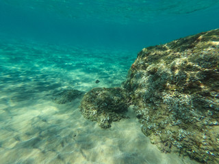 Underwater view of the rocks, sand and stones. The sandy and rocky bottom of the sea with some sun rays.