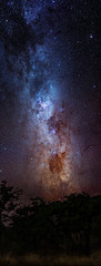 Milky way, Etosha National Park, Namibia, Africa
