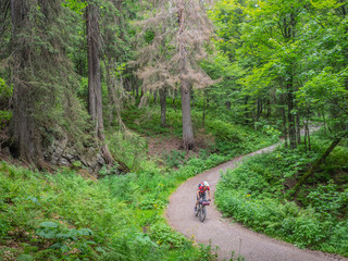 Mountain biker riding downhill through forest road, Hinterzarten , Baden-Württemberg, Germany