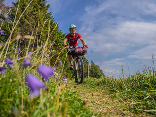 Mountain biker riding amidst woods of Black forest, near Todtnauberg, Baden-Württemberg, Germany