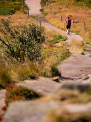 Rear view of women hiking over rocks on winding lane at Gazon du Faing, France