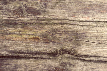 Obraz premium Brown wooden texture background